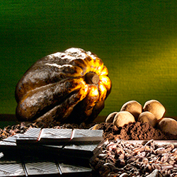 リンツチョコレートテイスティングセミナー